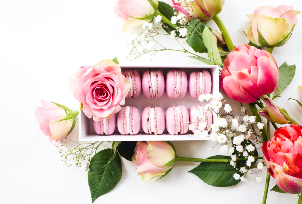 Basisrecept: macarons
